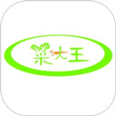 夜魅私密播放器